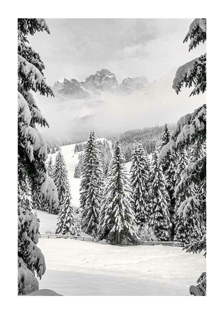 Fotografische Winterlandschaft mit schneebedeckten Tannen und Bergen-12