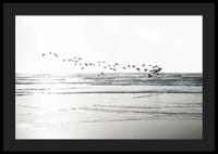 Fotografi av fågelflock som flyger över vågig sandstrand-4