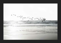 Fotografi av fågelflock som flyger över vågig sandstrand-5