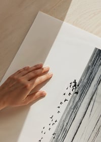 Fotografi av fågelflock som flyger över vågig sandstrand-9