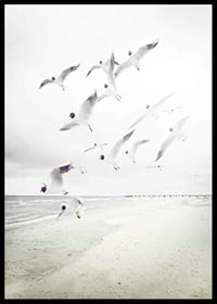 Photograph of laughing gulls taking off from a bright beach-6