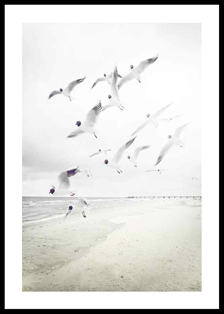 Photograph of laughing gulls taking off from a bright beach-12