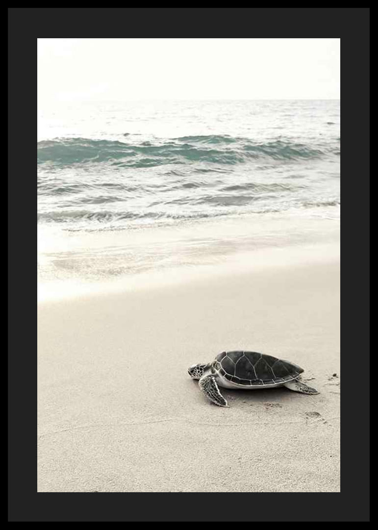 Fotografia di una tartaruga marina su una spiaggia di sabbia chiara in riva al mare-12