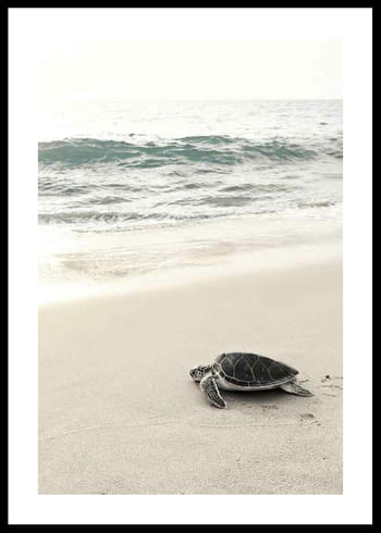 Poster Sea Turtle On Beach