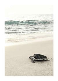 Zdjęcie żółwia morskiego na jasnej, piaszczystej plaży nad morzem-1