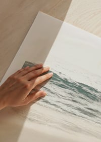 Zdjęcie żółwia morskiego na jasnej, piaszczystej plaży nad morzem-9