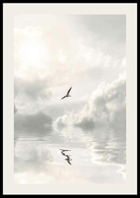 Photographic seagull flying over calm water with clouds-2