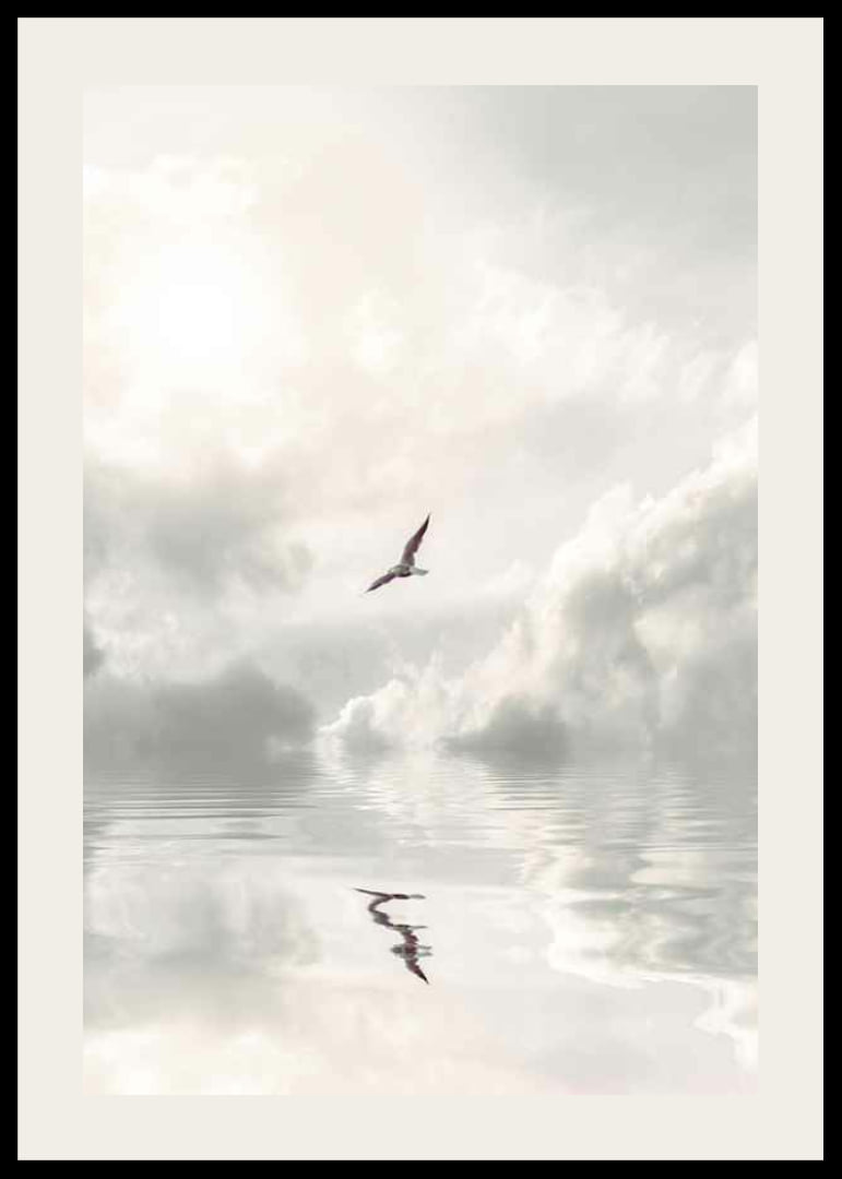 Photographic seagull flying over calm water with clouds-12