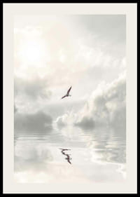 Fotografische meeuw die over kalm water met wolken vliegt-2