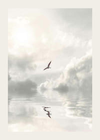 Fotografische meeuw die over kalm water met wolken vliegt-3