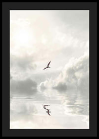 Photographic seagull flying over calm water with clouds-4