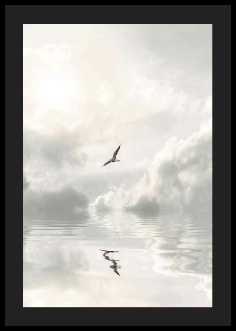 Photographic seagull flying over calm water with clouds-12