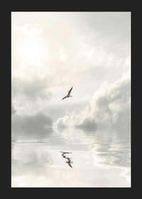 Fotografische meeuw die over kalm water met wolken vliegt-5