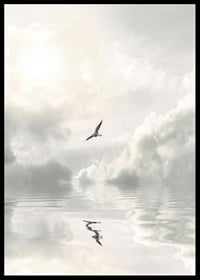 Photographic seagull flying over calm water with clouds-6