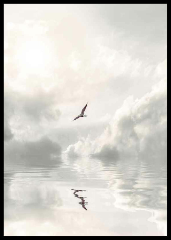 Photographic seagull flying over calm water with clouds-12