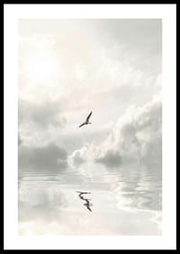 Photographic seagull flying over calm water with clouds-0