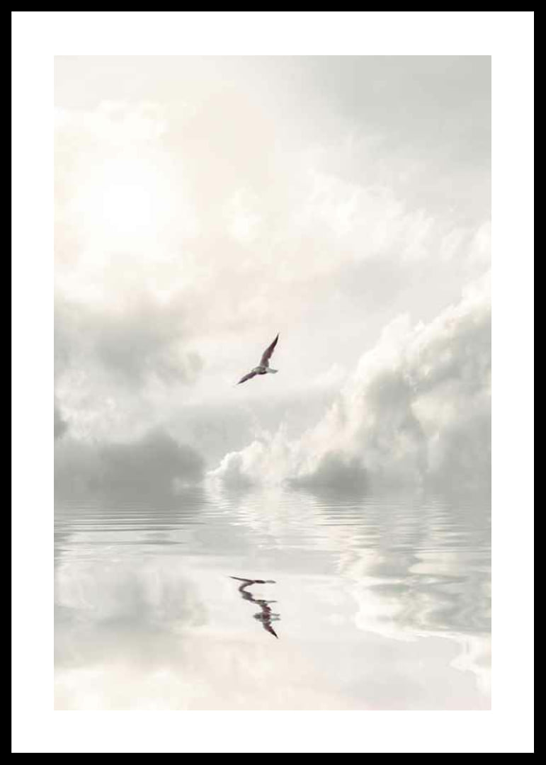 Photographic seagull flying over calm water with clouds-12