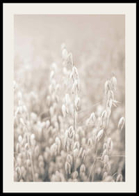 Fotografi av havreskorn i beige toner med myk uskarphet-2