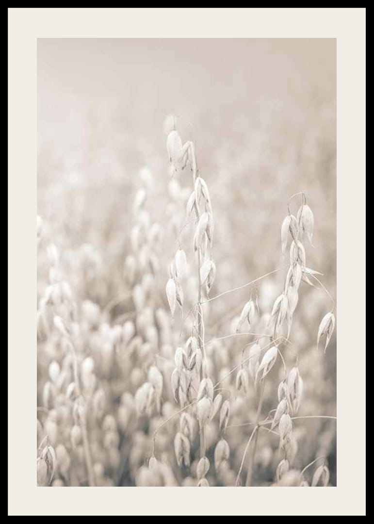 Fotografi av havreskorn i beige toner med myk uskarphet-12