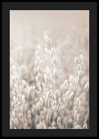 Fotografi af havreneg i beige toner med blød sløring-4