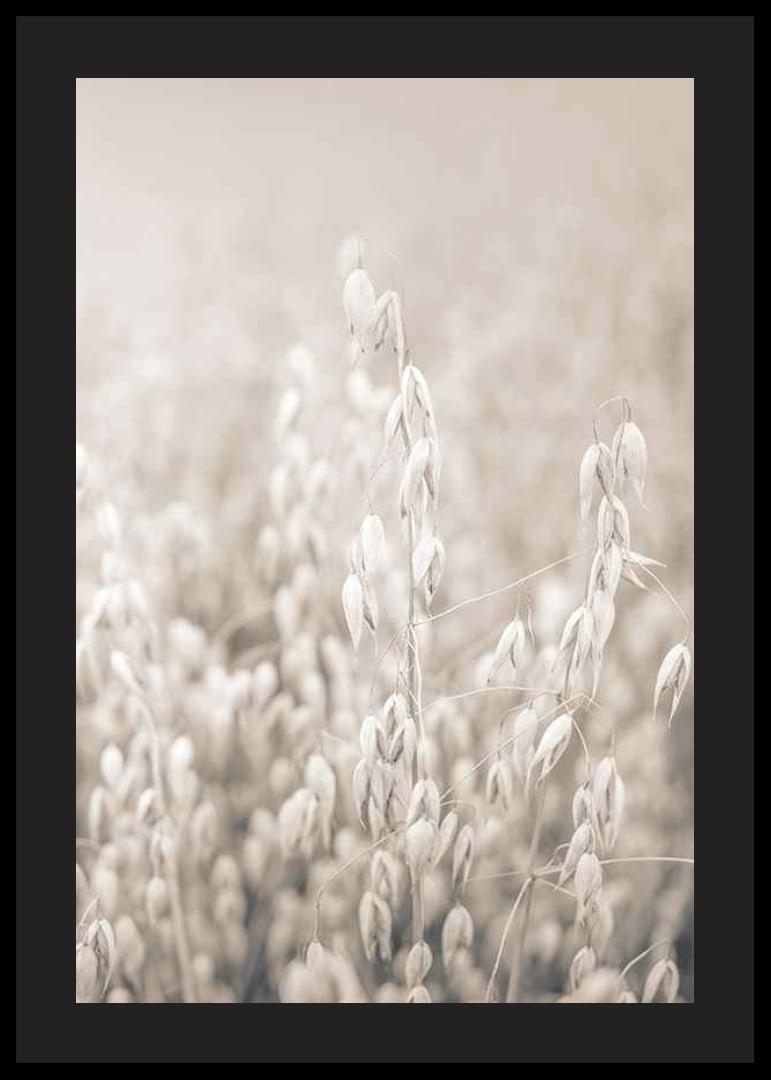 Fotografi af havreneg i beige toner med blød sløring-12