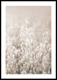 Fotografi af havreneg i beige toner med blød sløring-0