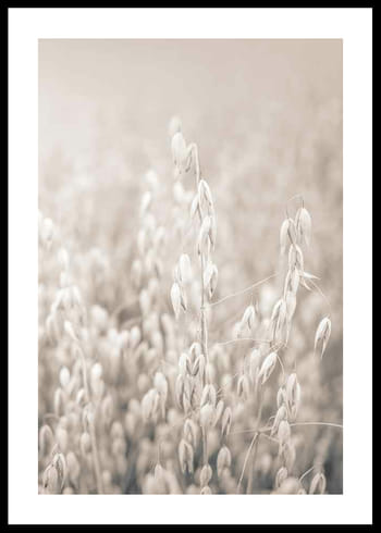 Poster Oats No2