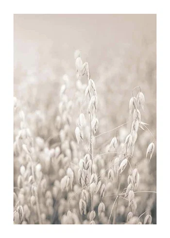 Poster Oats No2