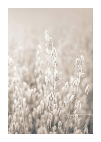 Poster Oats No2