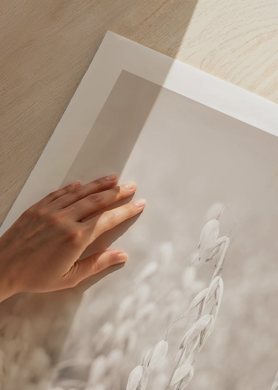 Fotografi af havreneg i beige toner med blød sløring-12