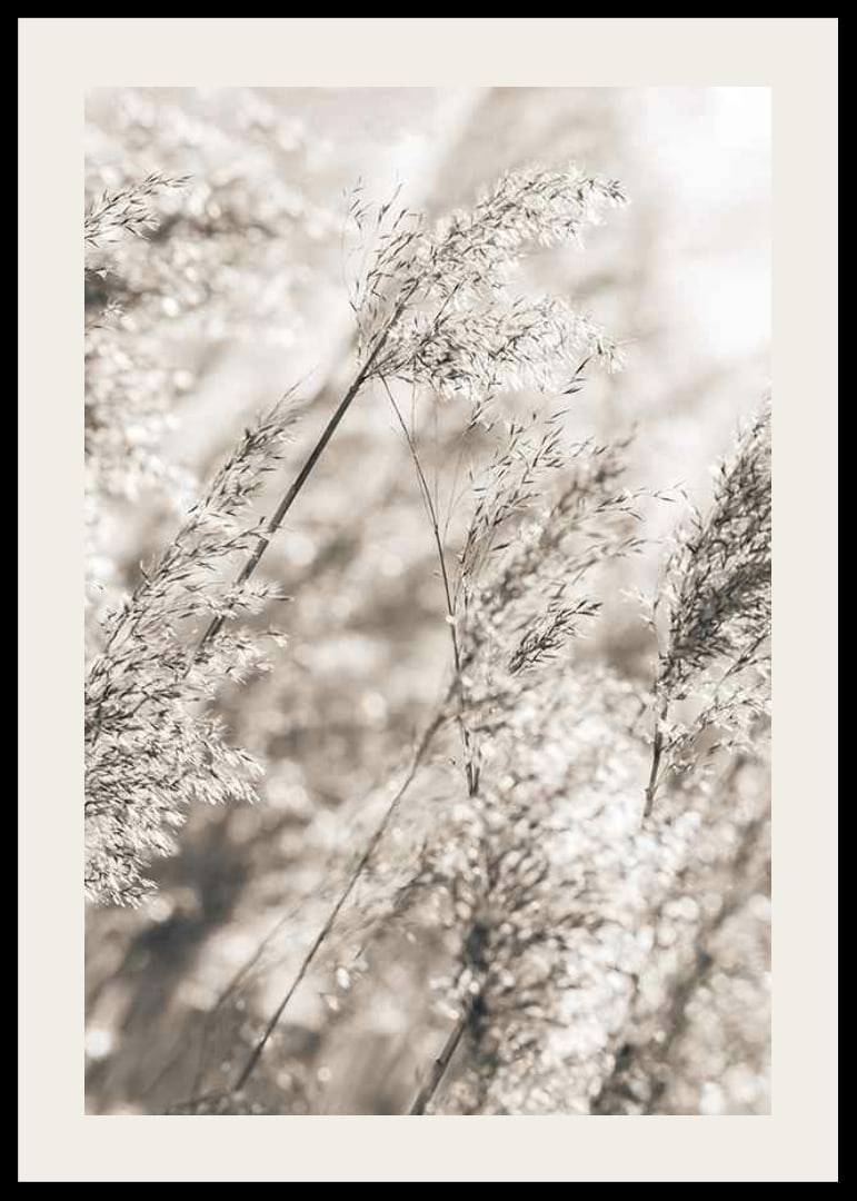 Fotografi av torkat gräs i mjuka beige toner, närbild-12