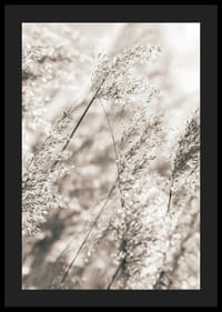 Fotografía de hierba seca en suaves tonos beige, primer plano.-4