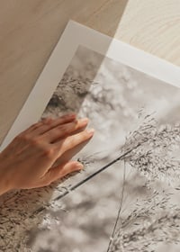 Fotografi av torkat gräs i mjuka beige toner, närbild-9