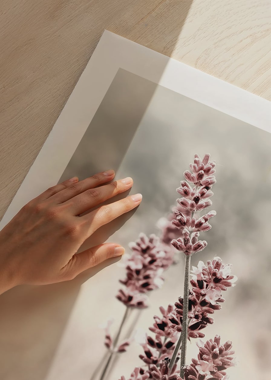 Photographic close-up of dried lavender in pink tones-12