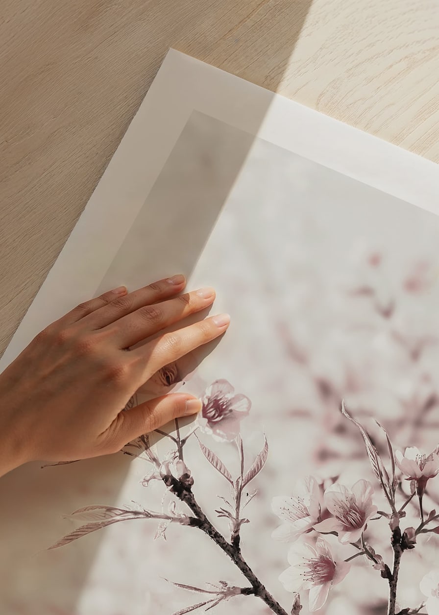 Close-up of cherry blossoms in pink and white against light background-12