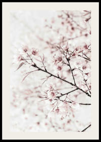 Detailný záber na čerešňové kvety v ružovej a bielej farbe na svetlom pozadí-2