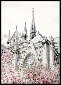Photograph of Gothic cathedral with pink flowering trees-6