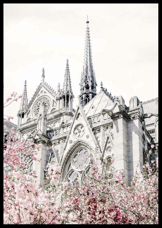 Photograph of Gothic cathedral with pink flowering trees-12