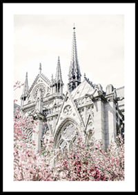 Photograph of Gothic cathedral with pink flowering trees-0