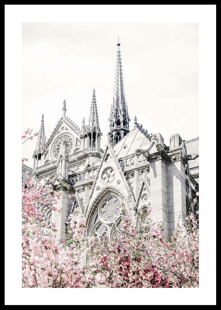 Photograph of Gothic cathedral with pink flowering trees-12