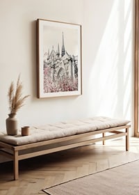Photograph of Gothic cathedral with pink flowering trees-8
