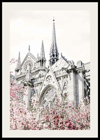 Photograph of Gothic cathedral with pink flowering trees-2