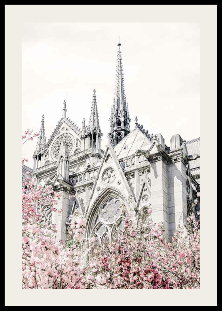 Zdjęcie gotyckiej katedry z różowo kwitnącymi drzewami-12