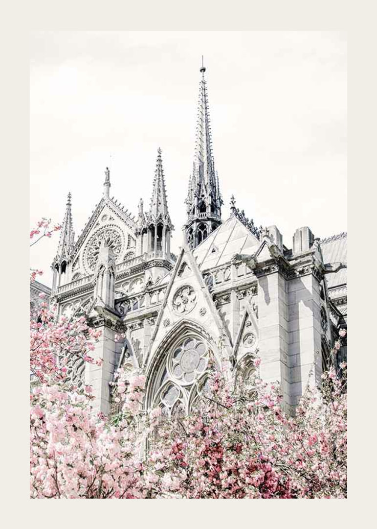 Photograph of Gothic cathedral with pink flowering trees-12