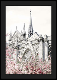 Photograph of Gothic cathedral with pink flowering trees-4
