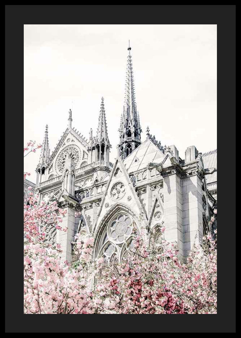 Photograph of Gothic cathedral with pink flowering trees-12