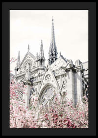 Zdjęcie gotyckiej katedry z różowo kwitnącymi drzewami-4