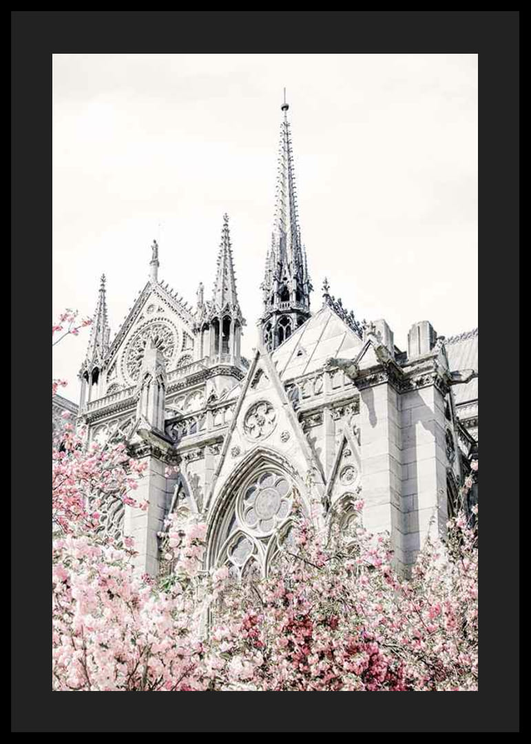 Zdjęcie gotyckiej katedry z różowo kwitnącymi drzewami-12