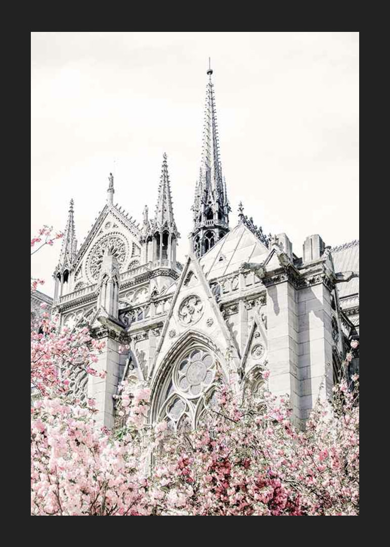 Photograph of Gothic cathedral with pink flowering trees-12