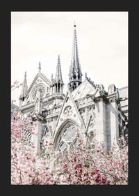 Zdjęcie gotyckiej katedry z różowo kwitnącymi drzewami-5